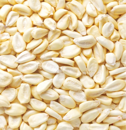 MAIZ CANCHA MONTAÑA KG.