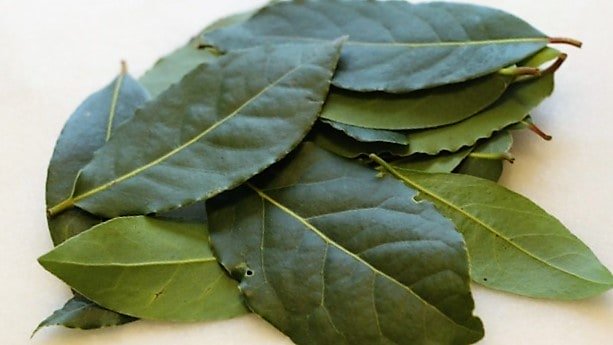 LAUREL ESPAÑOL A GRANEL KG.