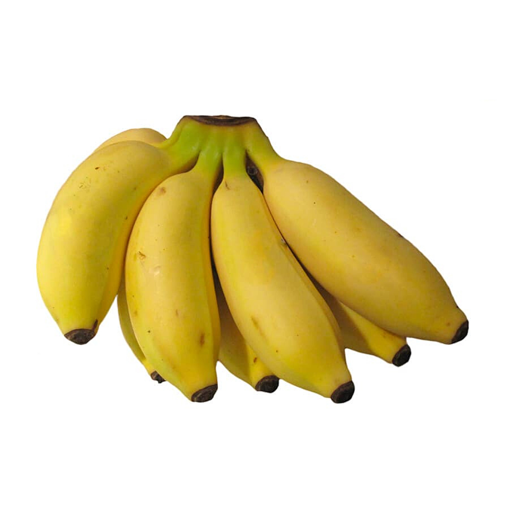 PLATANO BISCOCHO KG.