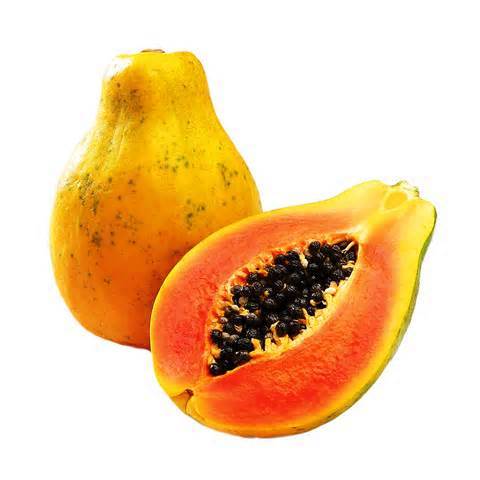 PAPAYA KG.