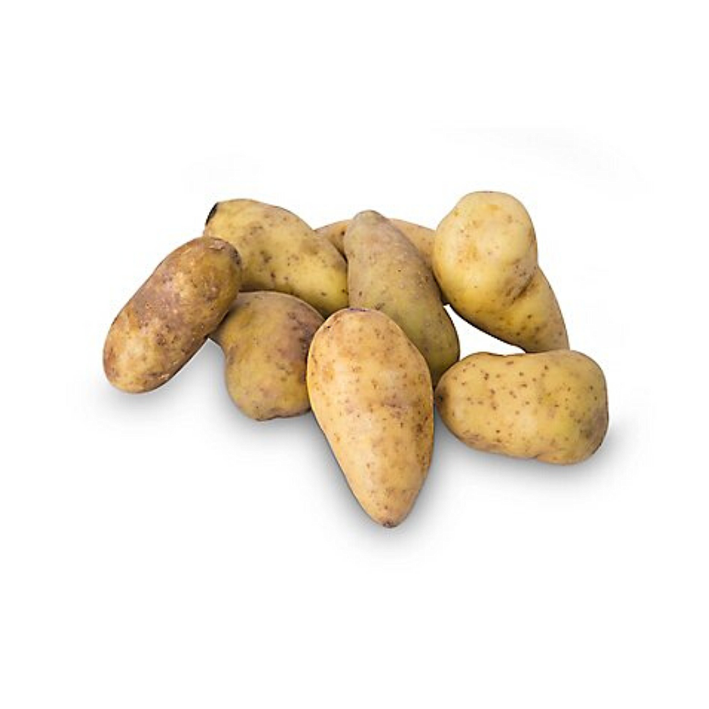 PAPA HUAMANTANGA KG.