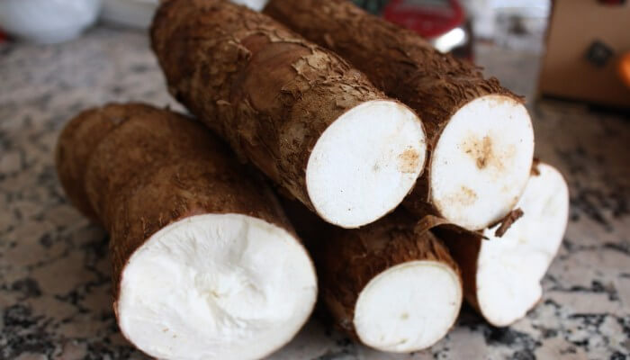 YUCA KG.