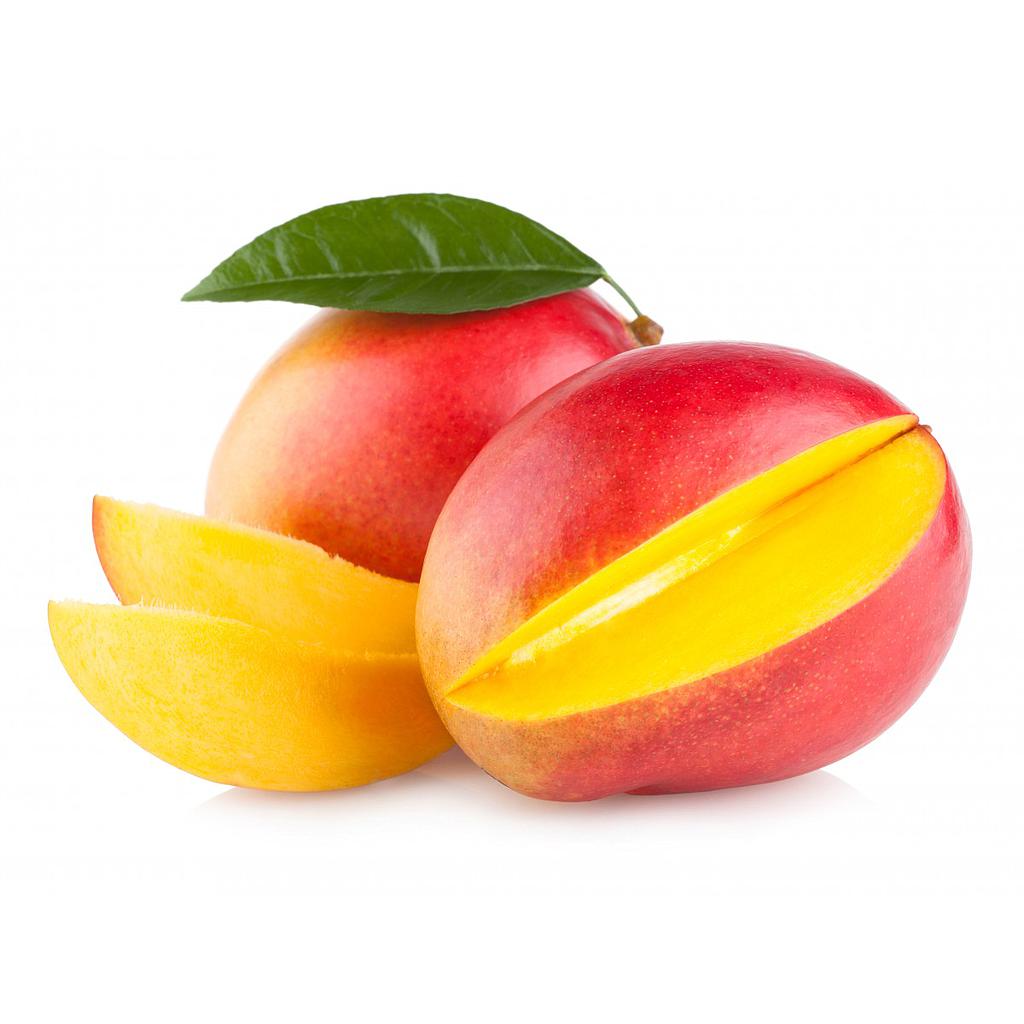 MANGO KG.